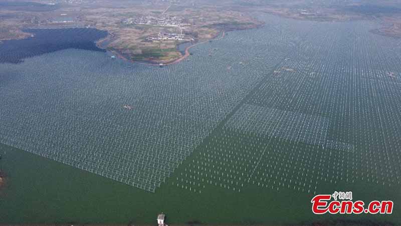 Une centrale photovoltaïque « complémentarité poisson-lumière » en construction dans la province de l'Anhui