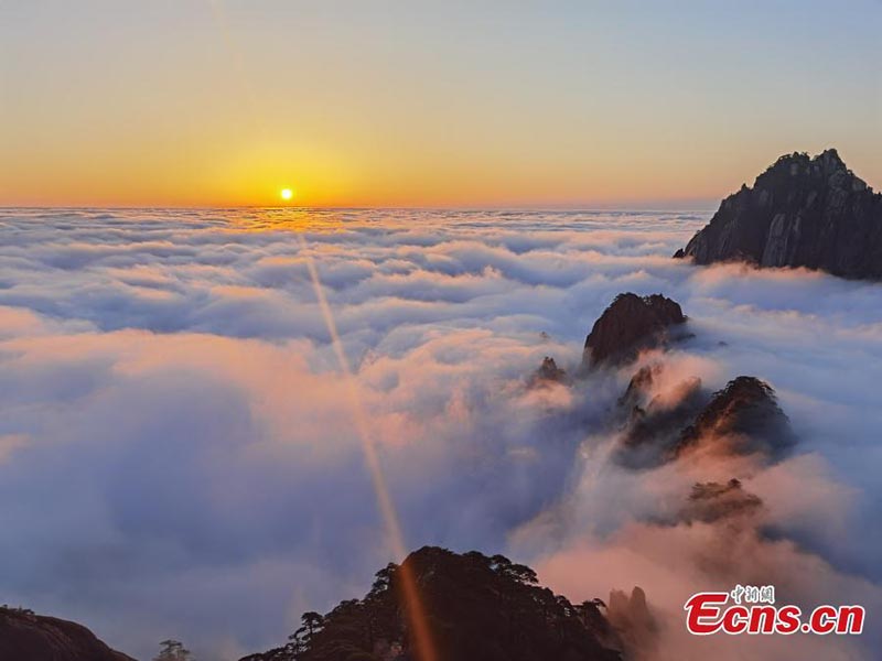 Paysage de mer de nuages sur les monts Huangshan