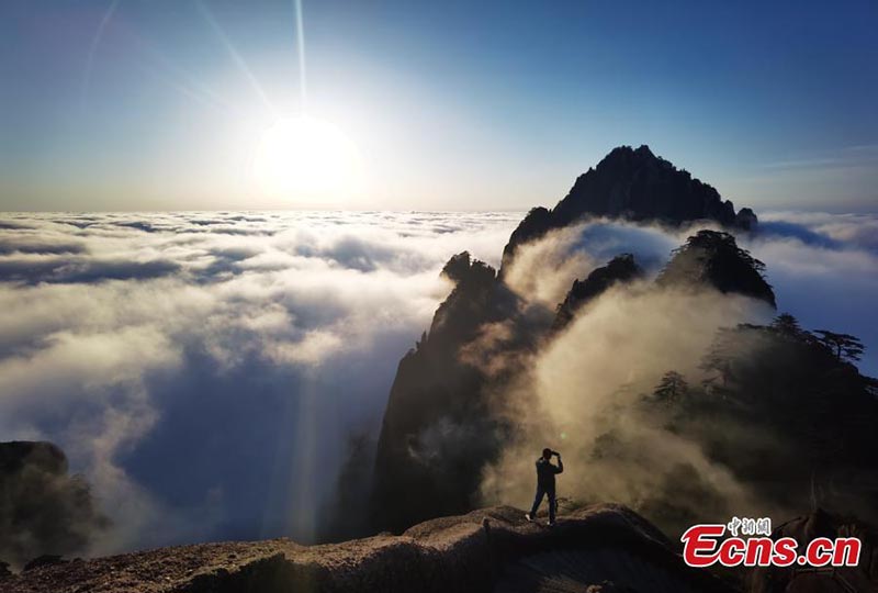 Paysage de mer de nuages sur les monts Huangshan