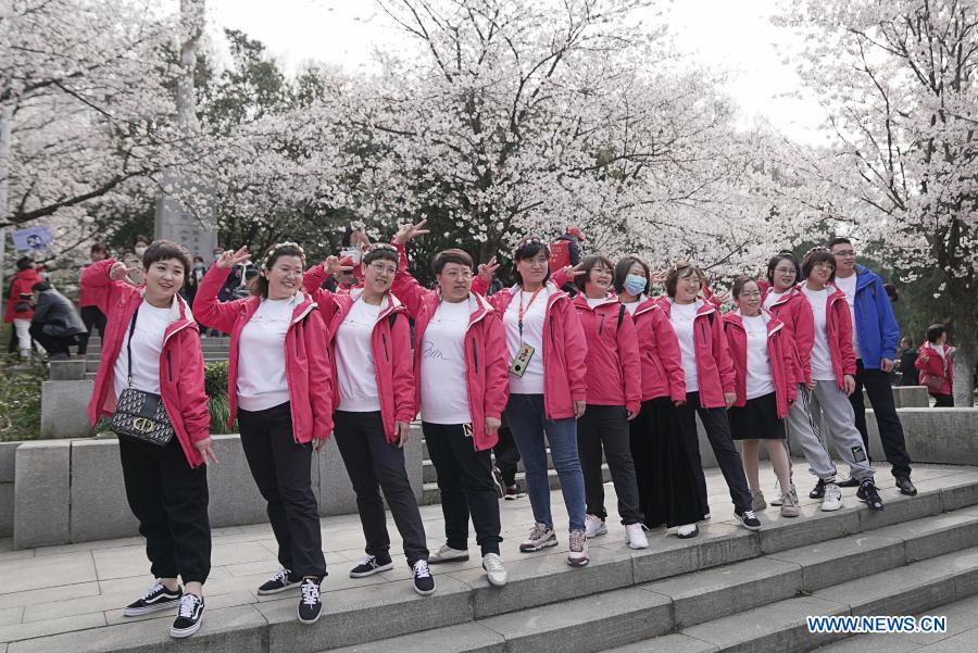 Wuhan invite les travailleurs médicaux du pays à profiter de la saison des cerisiers en fleurs