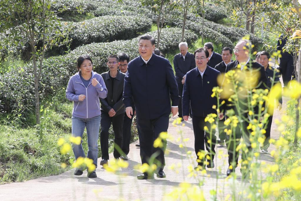 Xi Jinping souligne l'importance de redoubler d'efforts pour servir et s'intégrer dans le nouveau paradigme de développement