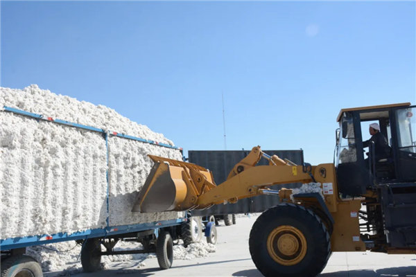 La récolte mécanique du coton existe depuis longtemps au Xinjiang