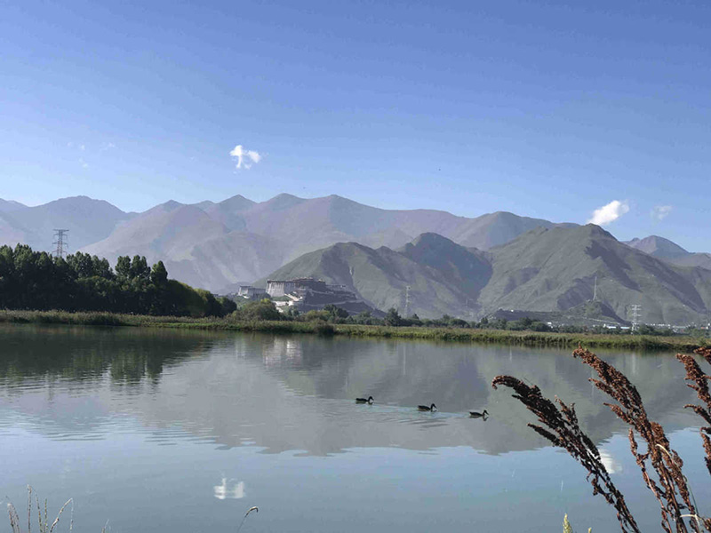 Une enquête sur la faune du Tibet révèle la découverte de 5 nouvelles espèces