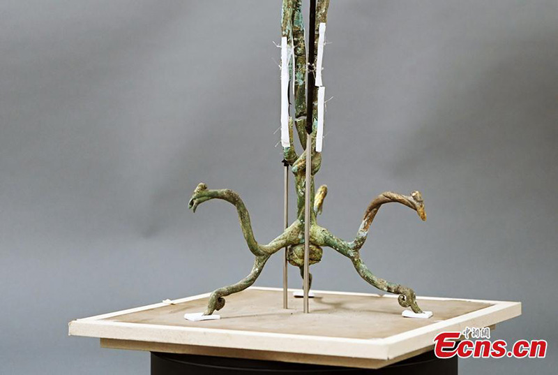 Une sculpture d'arbre en bronze provenant des ruines de Sanxingdui a été restaurée