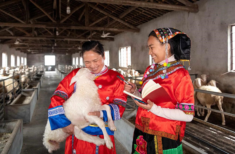 Le Zhejiang œuvre pour construire la zone de démonstration de la prospérité commune par le développement de haute qualité