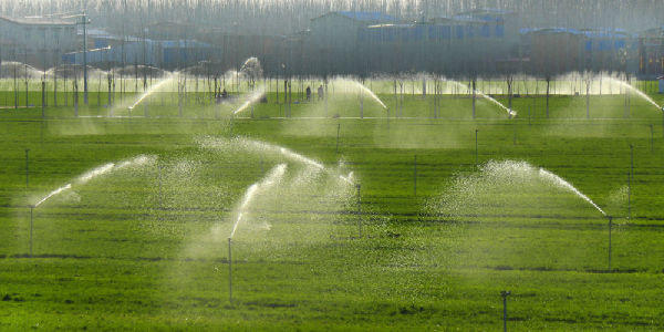 Comment l'irrigation intelligente économise de l'eau dans une zone de démonstration du Henan