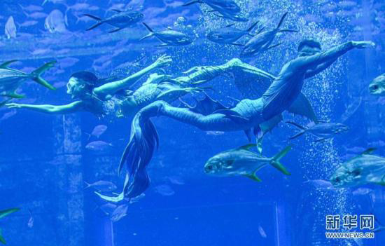 Sanya bat le record mondial Guinness du « plus grand spectacle de sirènes sous-marines »