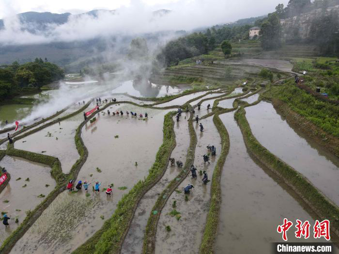 Yunnan : les rizières en terrasse des Hani de Yuanyang « ouvrent la porte de la plantation du riz » pour prier pour une bonne récolte