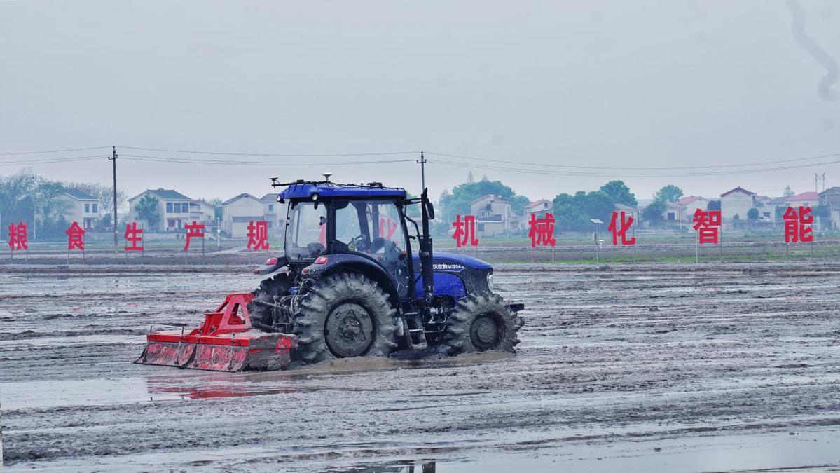 Début de l'exploitation d'une rizière sans personnel dans le centre de la Chine