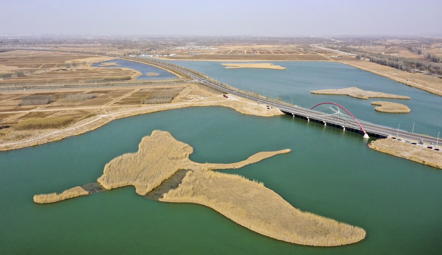 La qualité de l'eau du fleuve Jaune en Chine s'est améliorée au cours des cinq dernières années