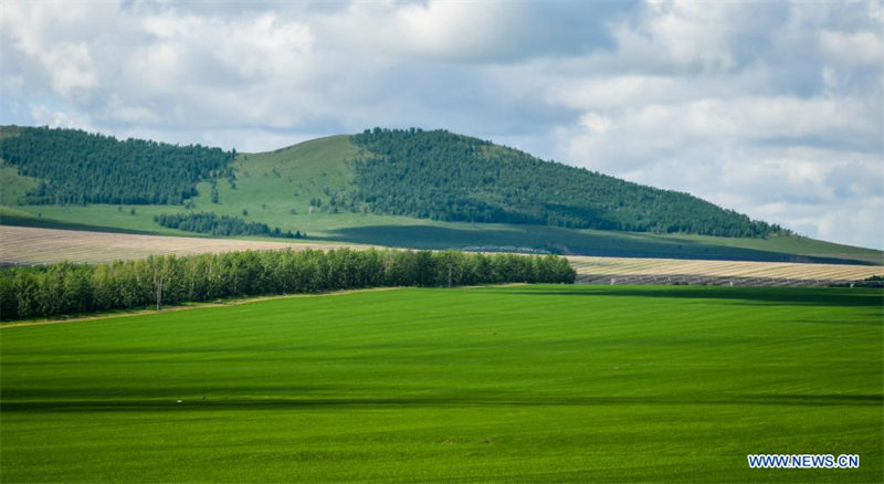 Paysage de prairie en Mongolie intérieure