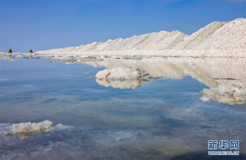 La haute saison estivale d'extraction du sel dans un lac du Xinjiang a commencé