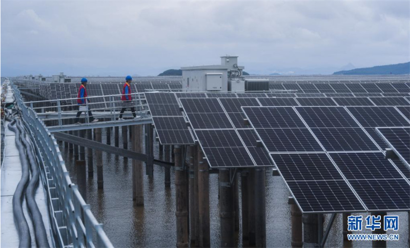 Zhejiang: la convergence de la pêche et de l'énergie photovoltaïque se développe sur une grande vasière