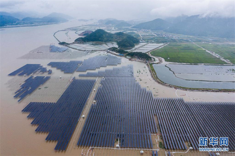 Zhejiang: la convergence de la pêche et de l'énergie photovoltaïque se développe sur une grande vasière