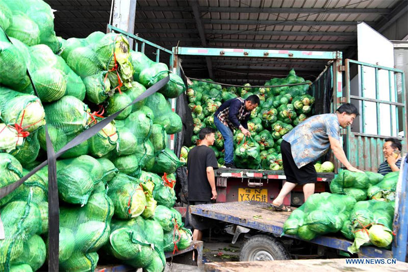 Chine : approvisionnement en produits agricoles à Zhengzhou