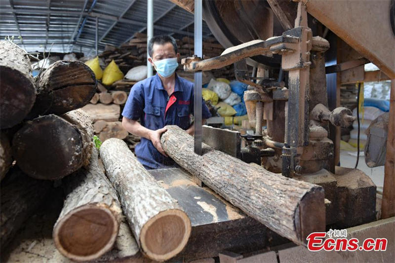 Une ancienne enseignante se reconvertit avec succès dans l'artisanat du bois