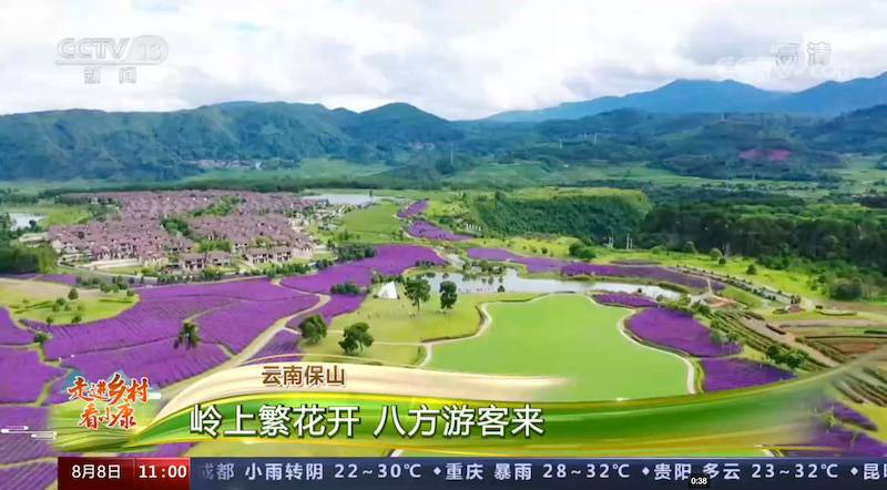 A Qushi, dans le Yunnan, des fleurs en pleine floraison accueillent des visiteurs venant de toute la Chine