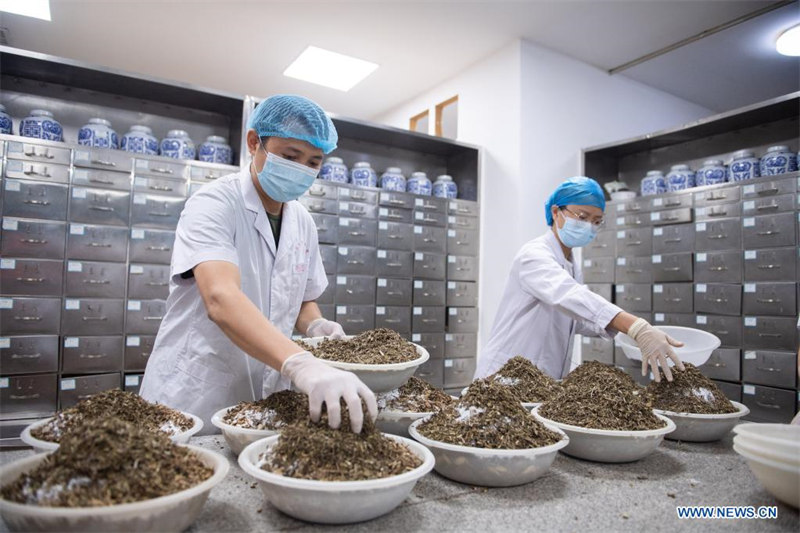Chine : la médecine traditionnelle chinoise dans la lutte contre la COVID-19 à Zhangjiajie