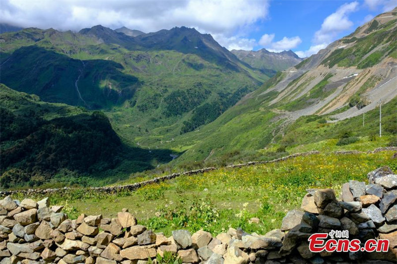 Les magnifiques paysages de fin d'été au Tibet