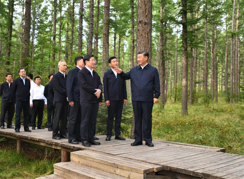 Xi Focus : Xi Jinping souligne l'importance de développer l'économie verte et de favoriser le progrès écologique