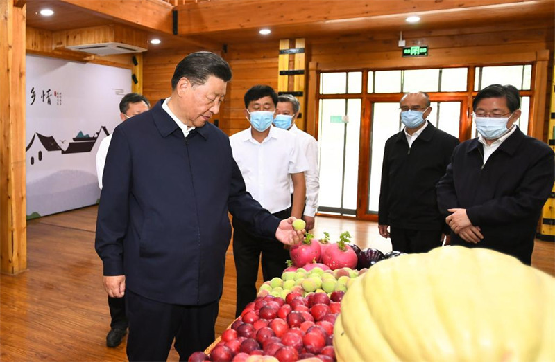 Xi Jinping insiste sur la promotion de l'esprit de Saihanba et les efforts pour atteindre les objectifs du développement économique et social