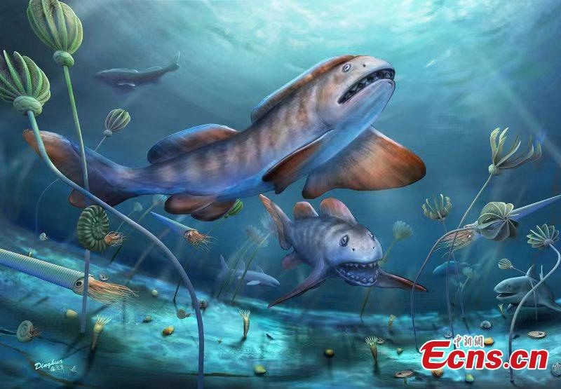 Des fossiles de poissons éteints datant de 290 millions d'années découverts dans le Shanxi