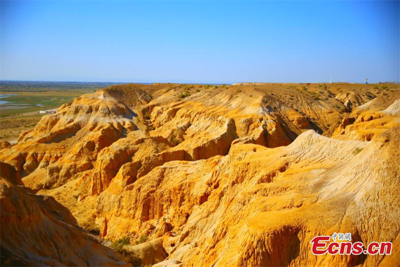 Les paysages du site pittoresque de la Cité du Diable au Xinjiang