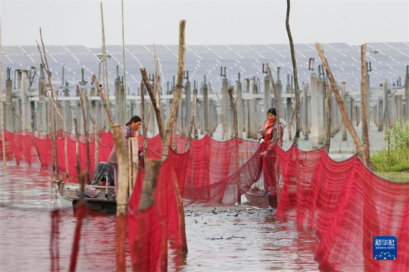 La saison de la pêche bat son plein dans le Jiangsu