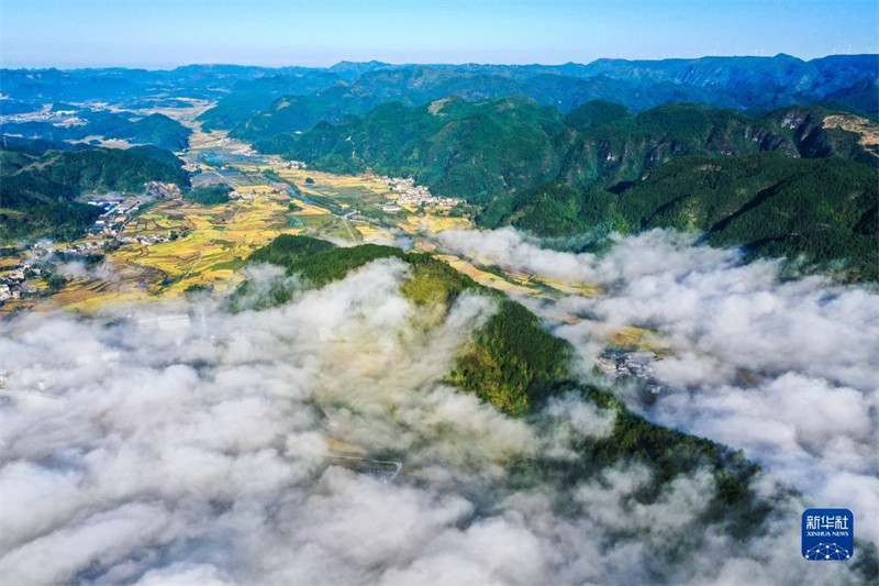Guizhou : les beaux paysages dans les champs de la préfecture autonome Buyei et Miao de Qiannan