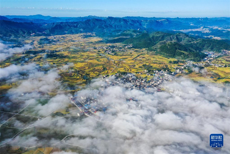 Guizhou : les beaux paysages dans les champs de la préfecture autonome Buyei et Miao de Qiannan