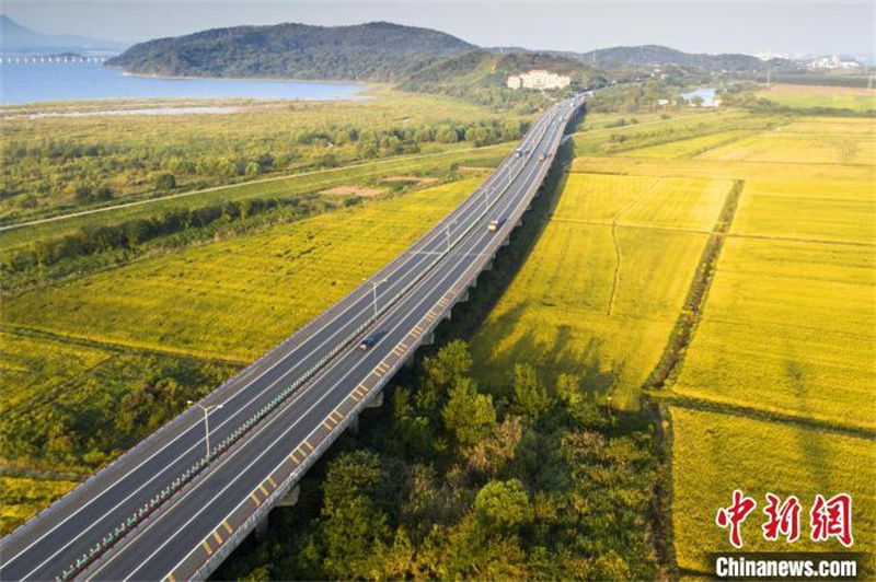 Le long des autoroutes chinoises : l'autoroute Jiujiang-Jingdezhen traverse des rizières dorées