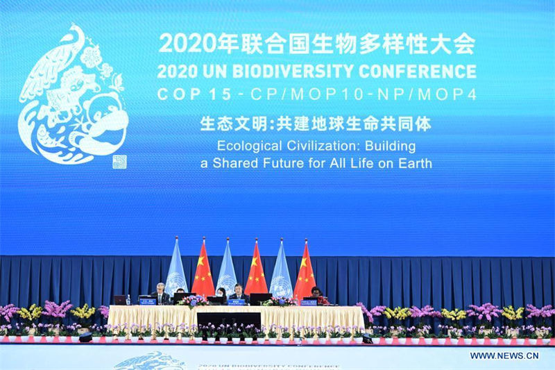 Biodiversité : ouverture de la COP15 au Yunnan