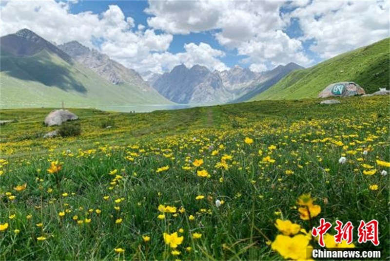 Situé dans le comté de Jiuzhi de la préfecture autonome tibétaine de Guoluo, dans la province du Qinghai (nord-ouest de la Chine), le site touristique de Nianbaoyuze dans le parc national de la Zone Sanjiangyuan, signifie « lieu sacré et inviolable ». (Sun Rui / China News Service)