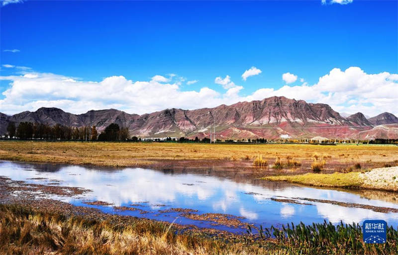 Tibet : feuilles d'automne sur le plateau doré