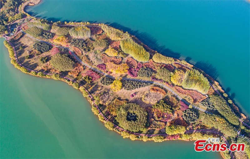 Paysages d'automne du site touristique de Lushuiwan à Zhangye, dans le Gansu
