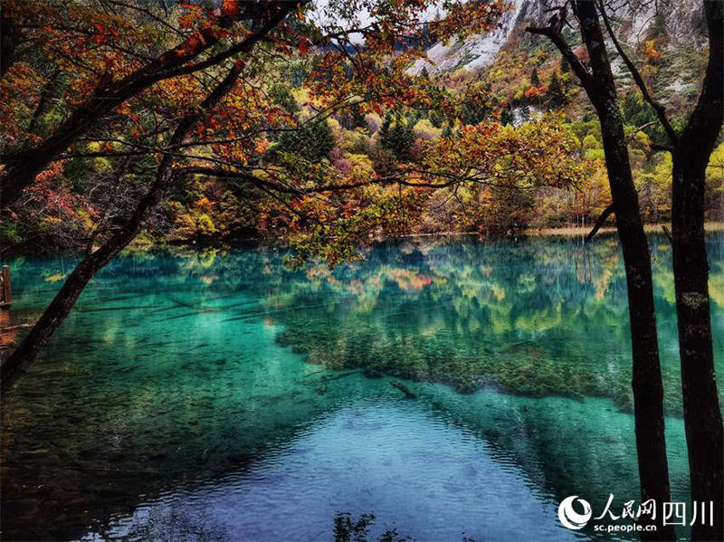 L'automne pittoresque de la vallée de Jiuzhaigou, dans le Sichuan