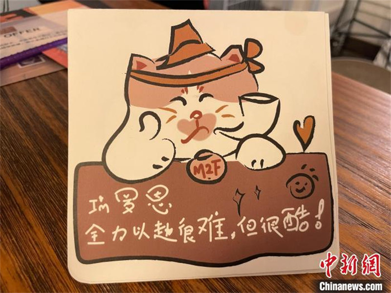 Un chat errant devient vedette d'un café à Shanghai en travaillant avec un « certificat »