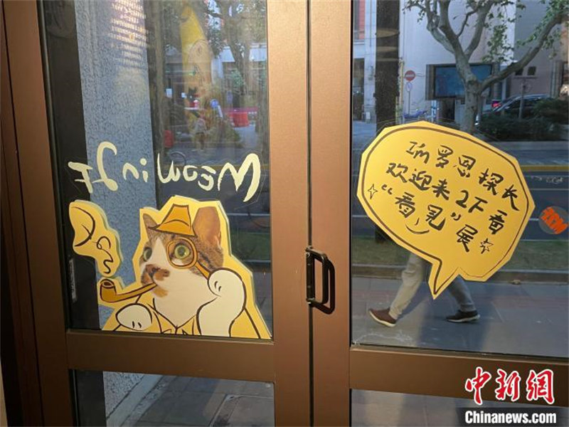 Un chat errant devient vedette d'un café à Shanghai en travaillant avec un « certificat »