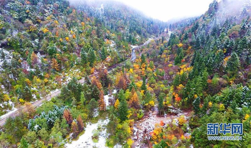 Les premières chutes de neige de la fin de l'automne à Pingheliang, dans les monts Qinling, pittoresques et colorés