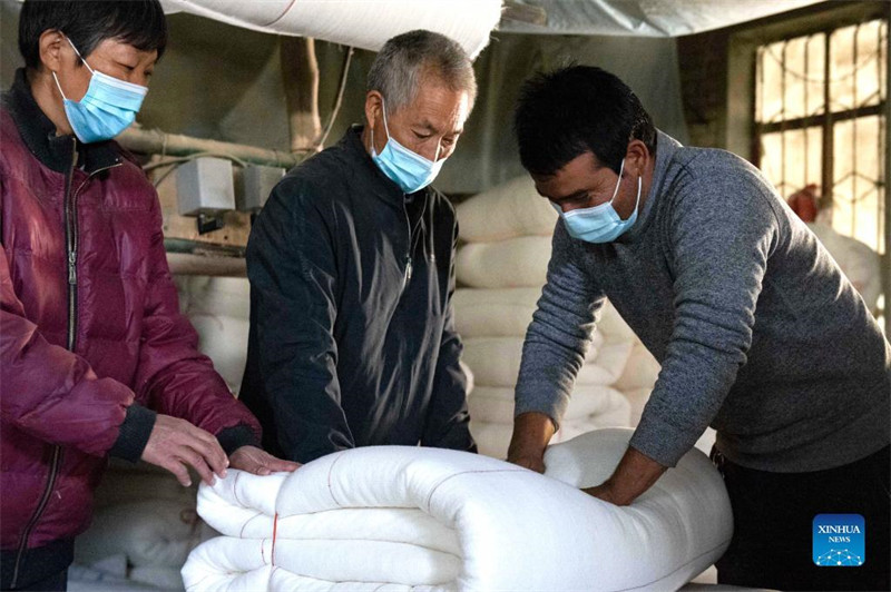 La cueillette mécanique du coton apporte plus d'efficacité et de revenus aux producteurs de coton du Xinjiang