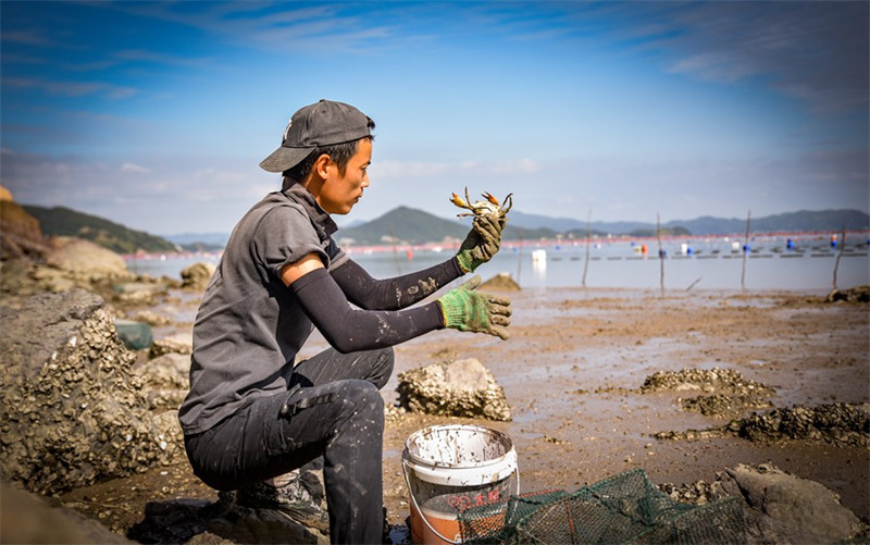 Découvrez la vie simple et idyllique des pêcheurs d'un petit village du Fujian