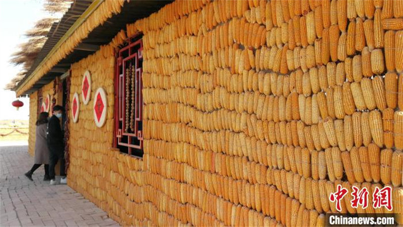 Xinjiang : 50 tonnes de maïs pour construire une maison