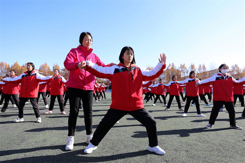 La transmission nationale du taï-chi dans des écoles du Henan