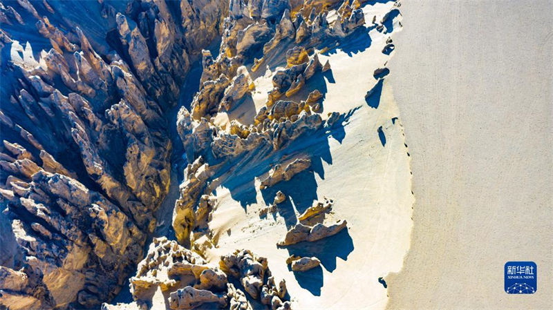 La Gorge de Qilin, une forêt de terre magique au Tibet