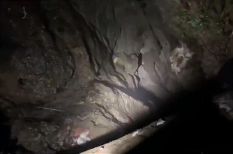 Un chien tombé dans un trou à 50 mètres de profondeur sauvé après 6 ans