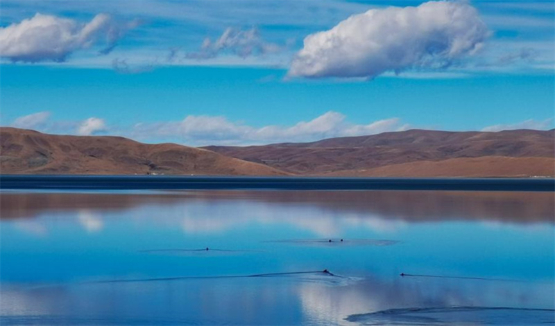 Chine : le lac Zhegu au Tibet
