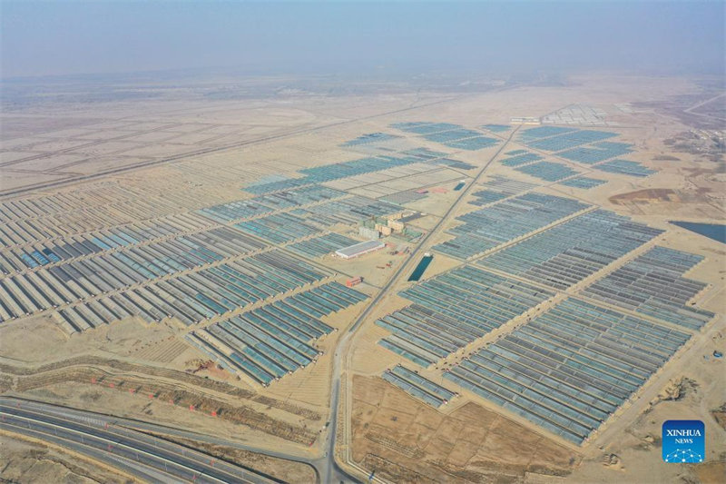 Xinjiang : un parc industriel agricole aide les villageois locaux à augmenter leurs revenus 