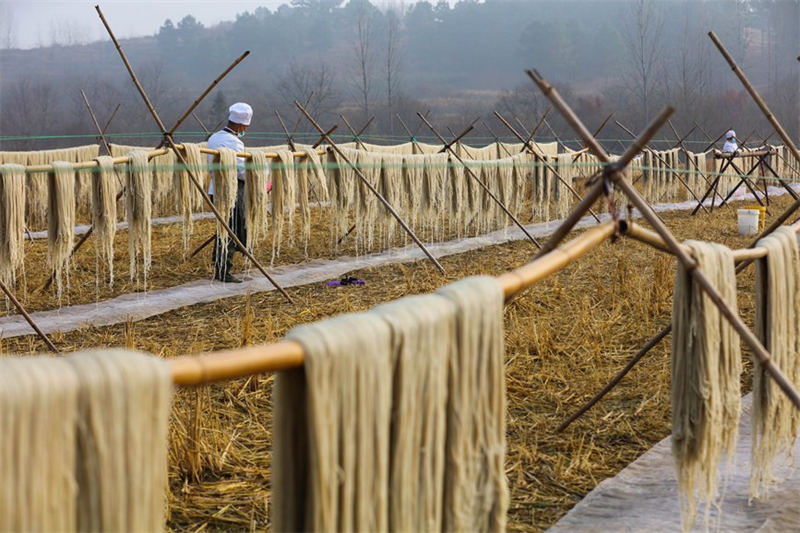 Henan : les vermicelles enrichissent les familles d'agriculteurs