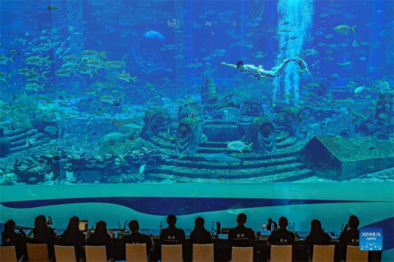 Un concours de sirène organisé à Sanya, dans la province de Hainan