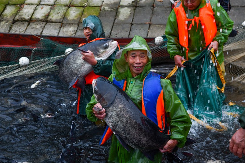 La pêche d'hiver démarre dans un réservoir écologique à Chongqing